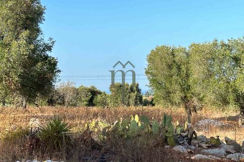 Helårsgrund i Carovigno, Brindisi, Carovigno - € 50.000 | Ref: Sierri VistaMar - foto 2